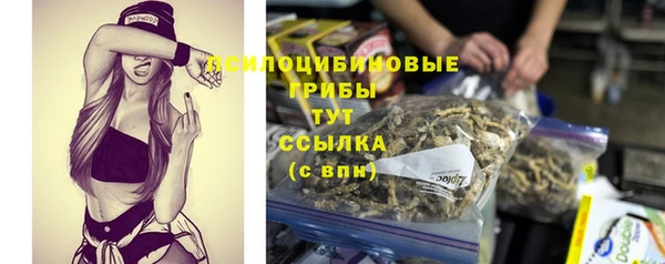 винт Медвежьегорск