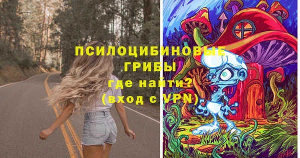 шишки Абдулино