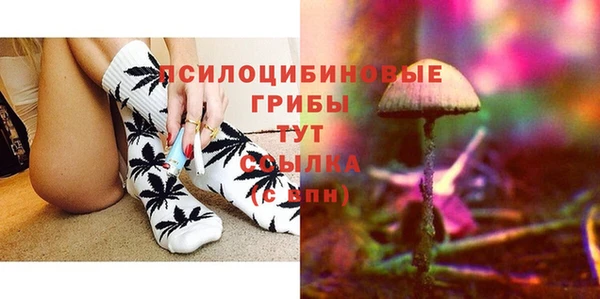 a pvp Медногорск