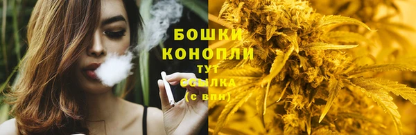 spice Абинск